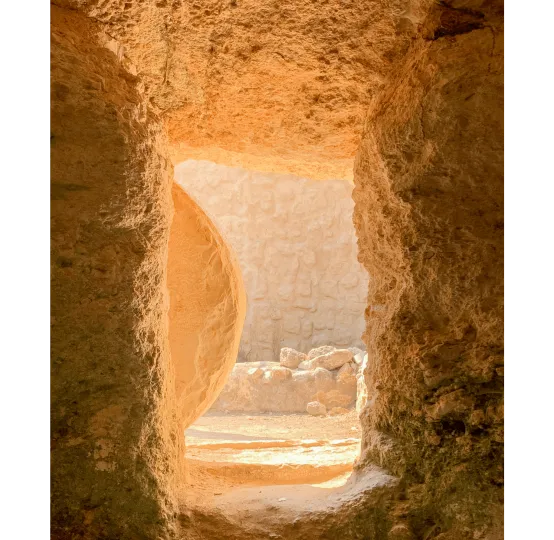 Southern Districts Community Bible Church