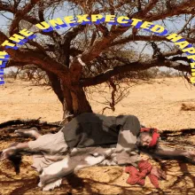 Southern Districts Community Bible Church