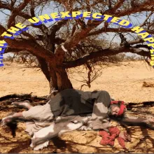 Southern Districts Community Bible Church