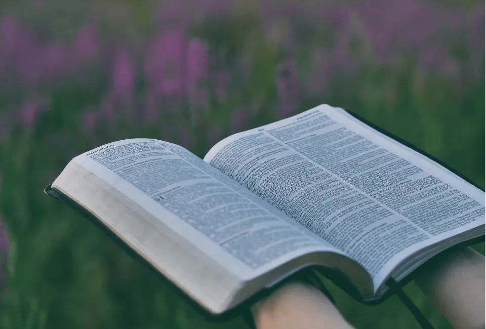 Southern Districts Community Bible Church