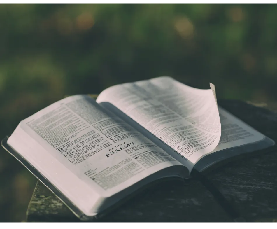 Southern Districts Community Bible Church